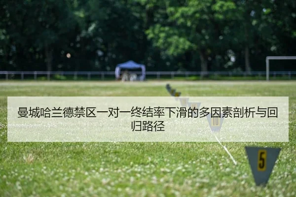曼城哈兰德禁区一对一终结率下滑的多因素剖析与回归路径